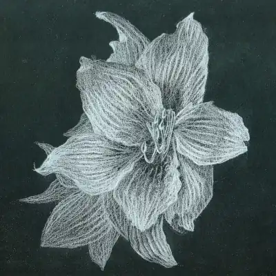 cours de desin crayons de couleur et aquarelle